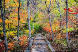Tianmenshan National Forest Park