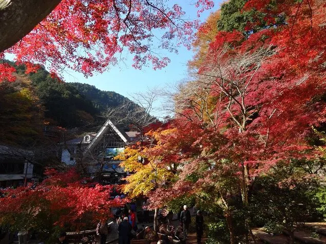 도쿄여행