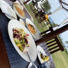 DRIFTWOOD User Photo