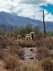 McDowell Sonoran Preserve