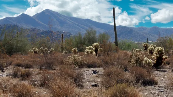 McDowell Sonoran Preserve