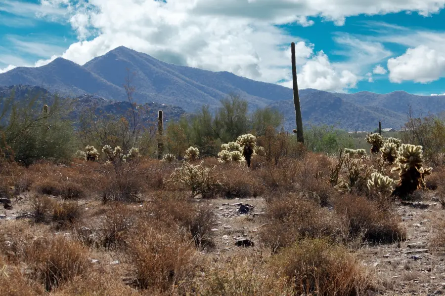 McDowell Sonoran Preserve