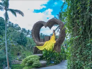 阿拉斯哈露姆鞦韆