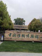 中國楊樹博物館