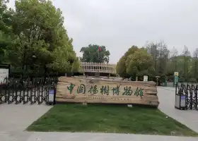 China Yangshu Museum