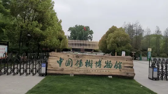 中国楊樹博物館