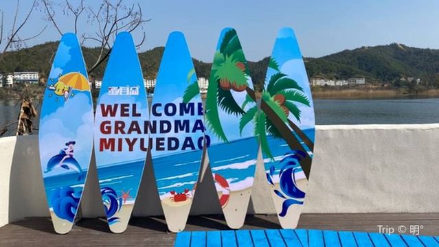 Honeymoon Island Scenic Area