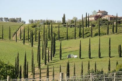 La Grotta di Fulignano