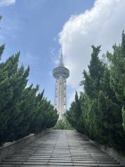 泰山旅遊空中觀景塔
