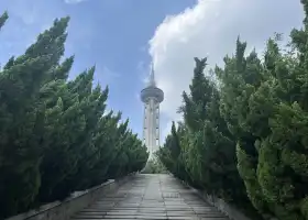 泰山旅遊空中觀景塔