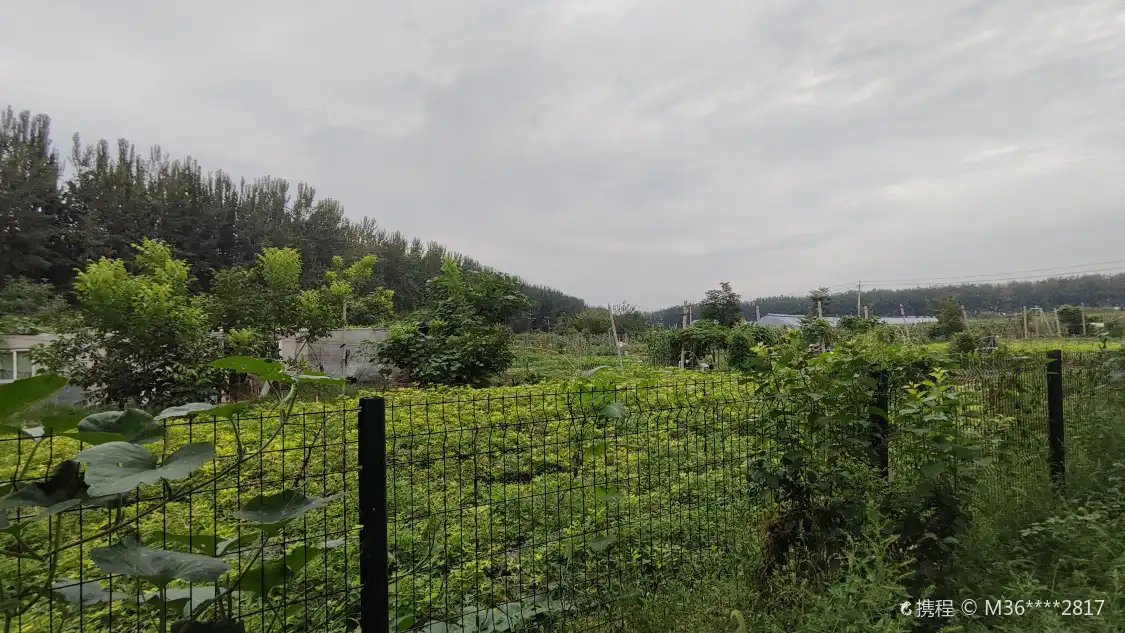 Hotels near Yueliangwan Kaixin Farm
