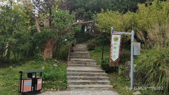 Longli