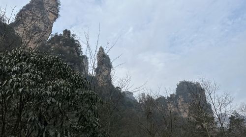 Rat Watching Sky Stone Peak, Zhangjiajie