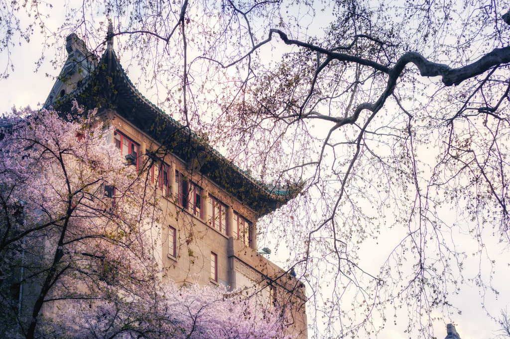 Wuhan University - Cherry Blossom Castle