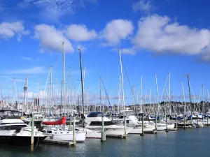 Auckland Sailing Club
