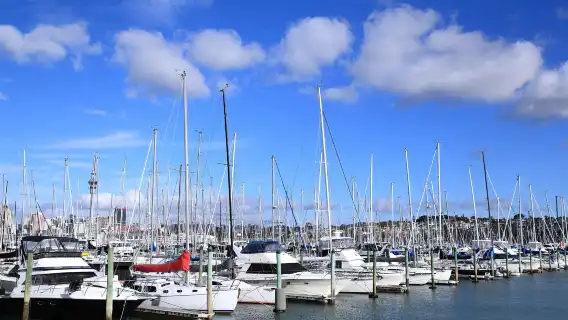 ประสบการณ์แล่นเรือใบที่โอ๊คแลนด์ เกาะเหนือของนิวซีแลนด์ (แล่นเรือ 1.5 ชั่วโมง + คำแนะนำจากลูกเรือมืออาชีพ + ตัวเลือกอาหารเย็น)