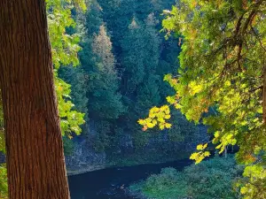Elora Gorge Lookout