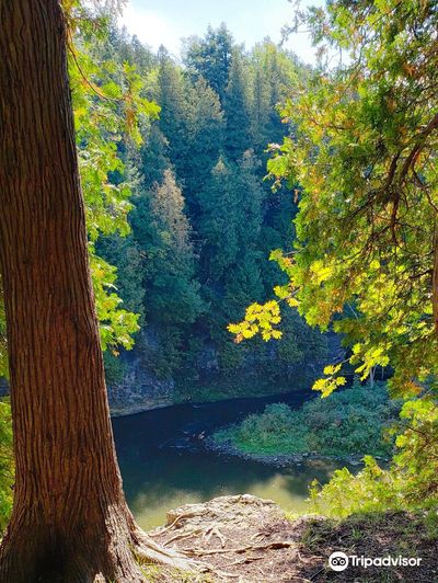 Elora Gorge Lookout