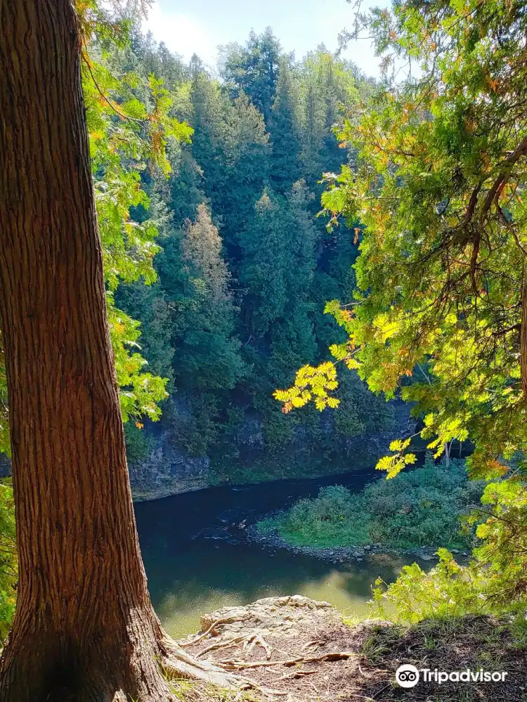 Hotels in Wellington County