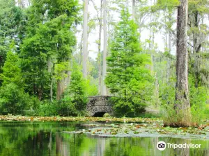 Cypress Gardens