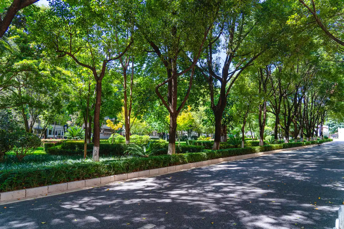 Hotels near Wuhua Mountain