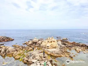 아들바위공원