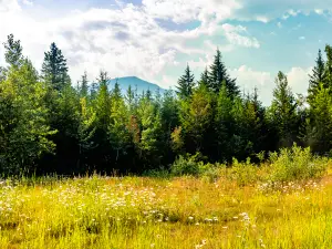 Glacier National Park
