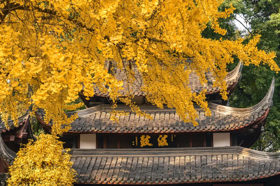 5_Wenshu Monastery