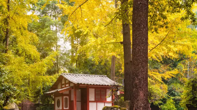3_杜甫草堂