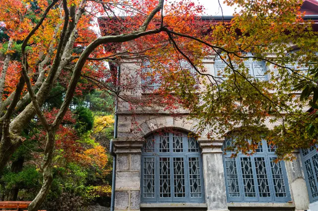 Maple Leaf Viewing in Lushan