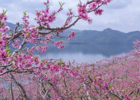 五龍背温泉 民宿