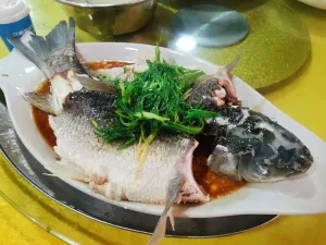 品味园山庄