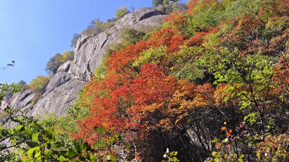 Luoyang Xianglong Grand Canyon Scenic Area