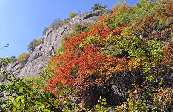 洛陽翔龍大峽谷景區門票大小同價