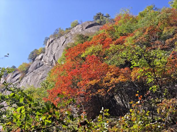 Luoyang Xianglong Grand Canyon Scenic Area