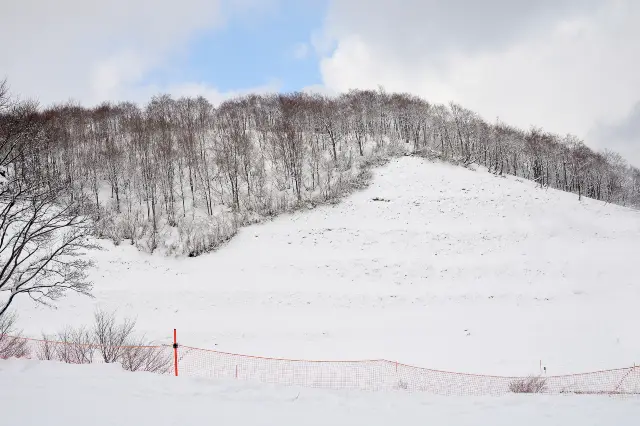 新潟縣滑雪