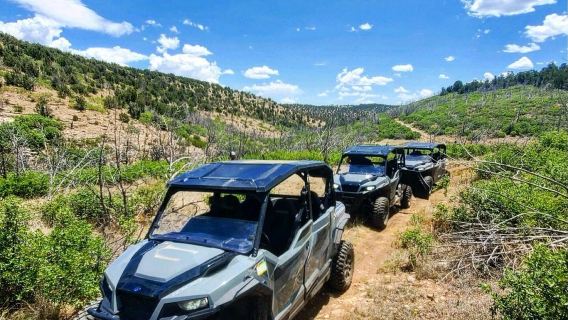 Backcountry Attitudes