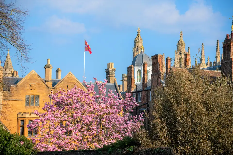 3_劍橋大學