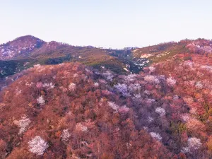Kikungshan Scenic Area