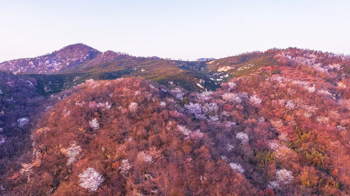 2_雞公山景區