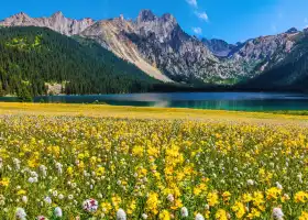 巴塘措普溝景區