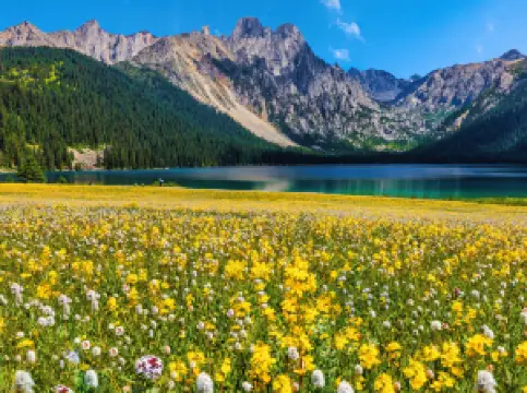 Cuopu Valley Scenic Area