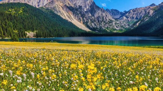 Cuopu Valley Scenic Area