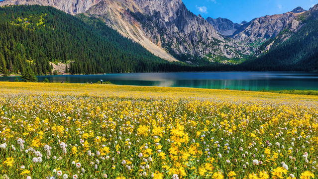 Cuopu Valley Scenic Area