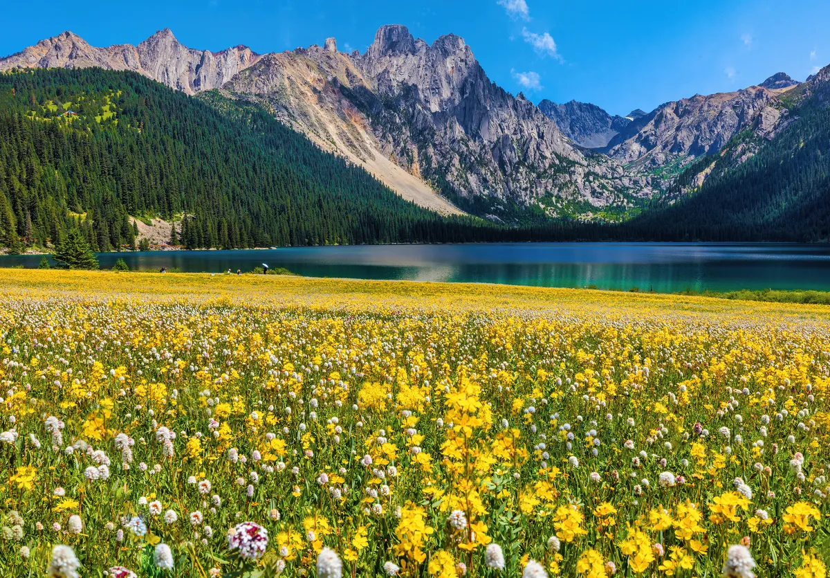 Cuopu Valley Scenic Area