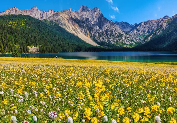 Cuopu Valley Scenic Area