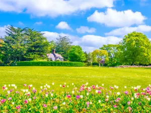 Phoenix Park