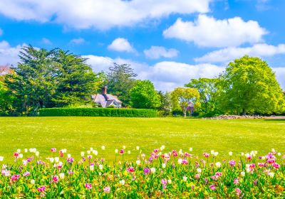 Phoenix Park