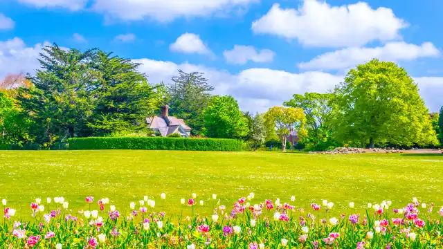 Hotels near Phoenix Park