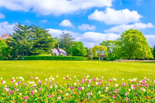 Phoenix Park